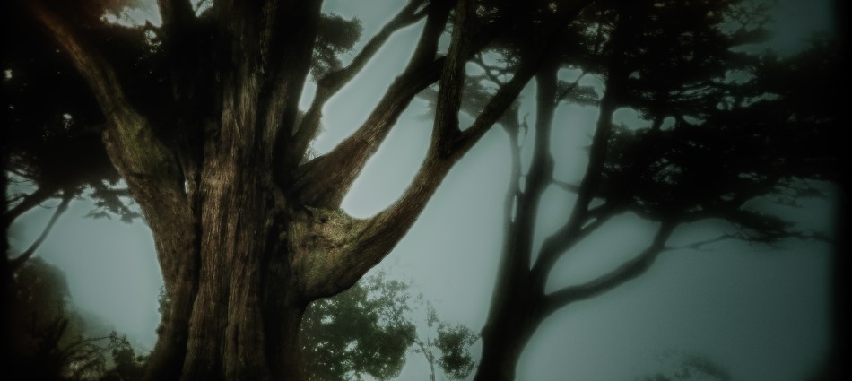 Sutro Park, San Francisco